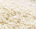 Food Grains Food Grains