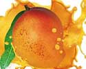 Fruits Fruits