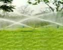 Irrigation & Watering Supplies Irrigation & Watering Supplies